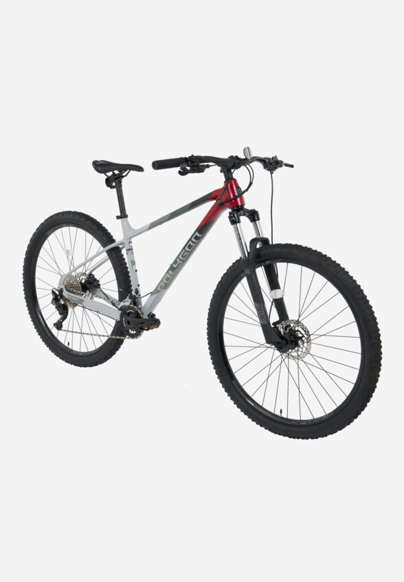 Велосипед горный Polygon Xtrada 5 29