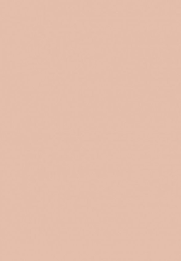 Консилер Vivienne Sabo