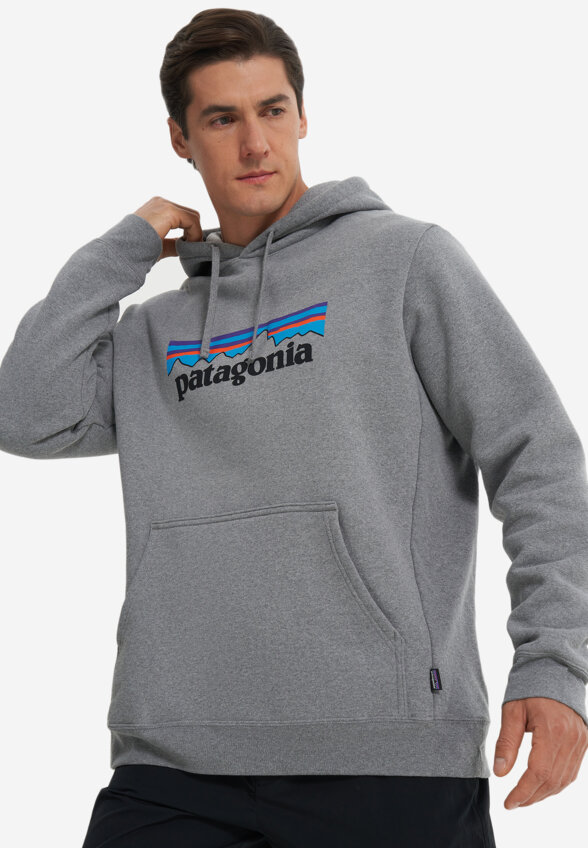 Худи мужское Patagonia Logo Uprisal, Серый