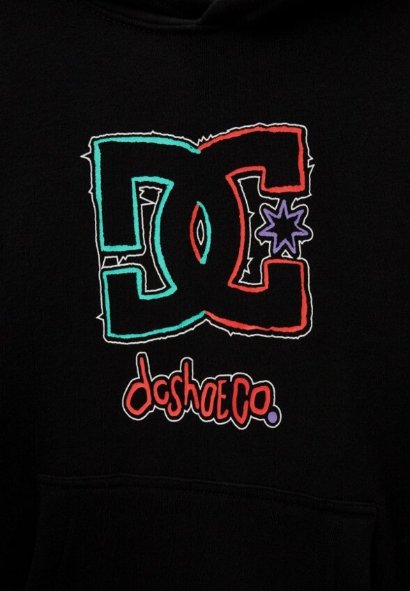 Худи DC Shoes