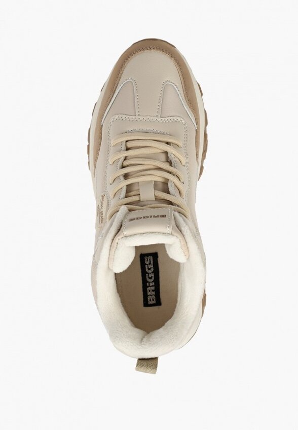 Кроссовки Briggs