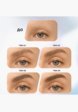 Подводка для бровей Influence Beauty7  - превью
