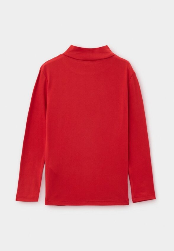 Водолазка Terranova