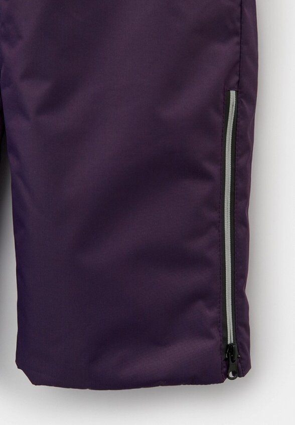 Брюки утепленные Alex Junis