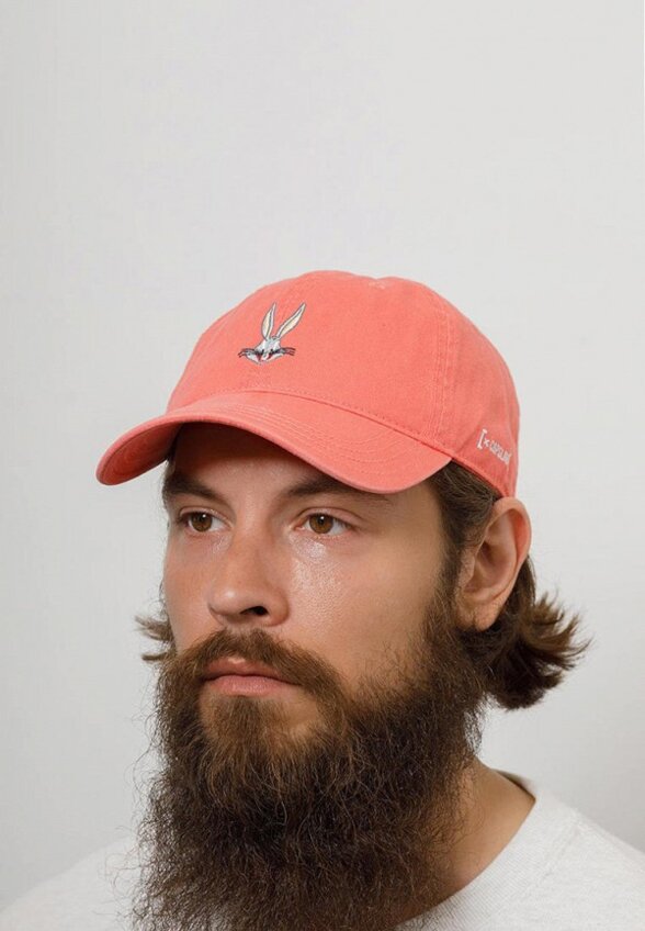 Бейсболка Capslab