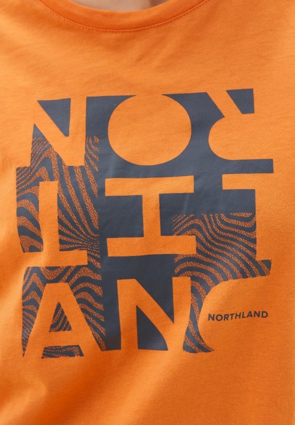 Футболка спортивная Northland