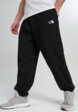 Брюки мужские The North Face Essential, Черный1  - превью