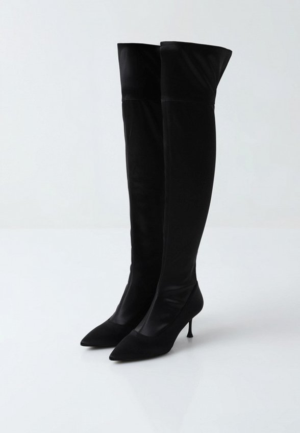 Ботфорты Passegiata