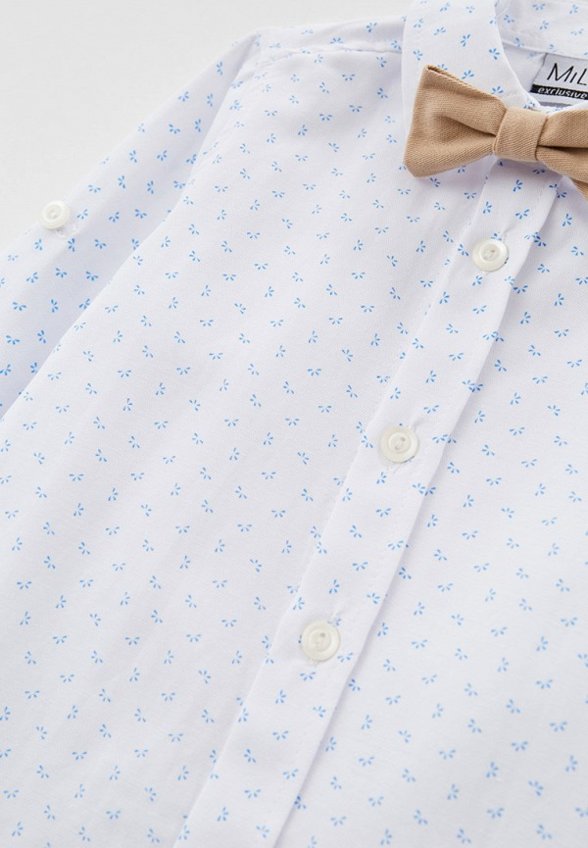 Рубашка, жилет и брюки MiLi