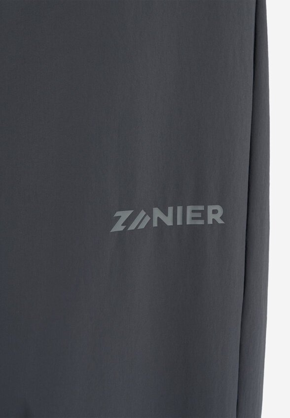 Брюки мужские Zanier, Серый