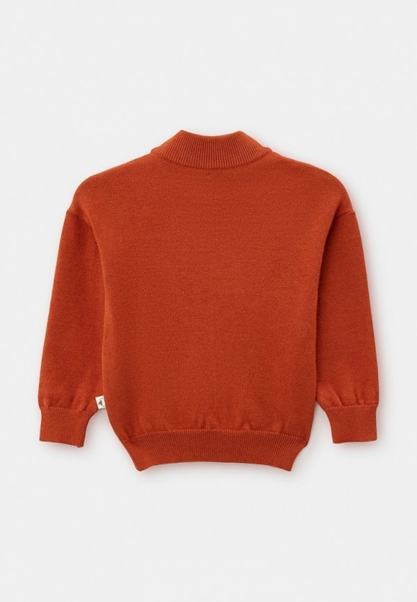 Джемпер Сашка Барашка