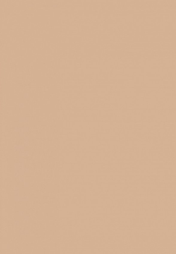 Пудра компактная MAC