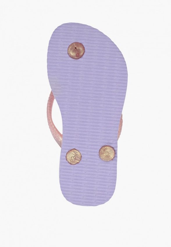 Сланцы Havaianas