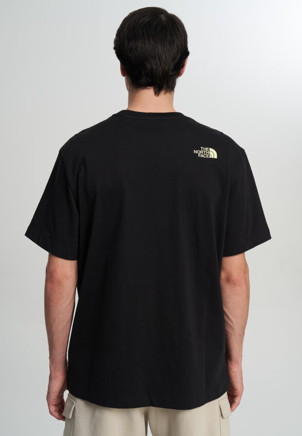 Футболка мужская The North Face Logo Twist, Черный