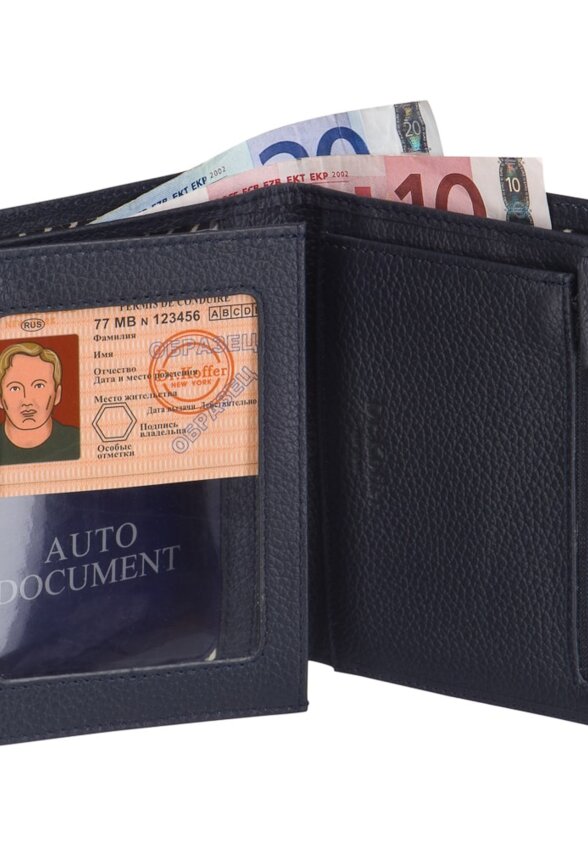 Др.Коффер X510230-220-60 портмоне