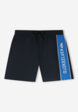 Шорты плавательные мужские Quiksilver Everyday Clicker Volley 17, Синий8  - превью