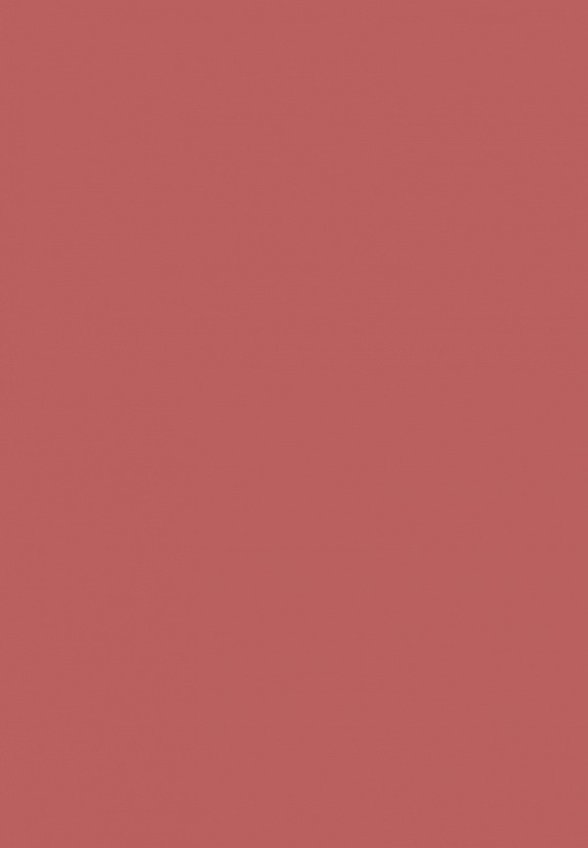 Помада Clarins