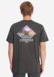 Футболка мужская Quiksilver Palm Square, Серый3  - превью
