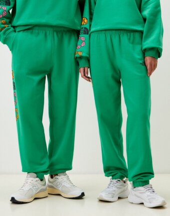Брюки спортивные The North Face женщинам