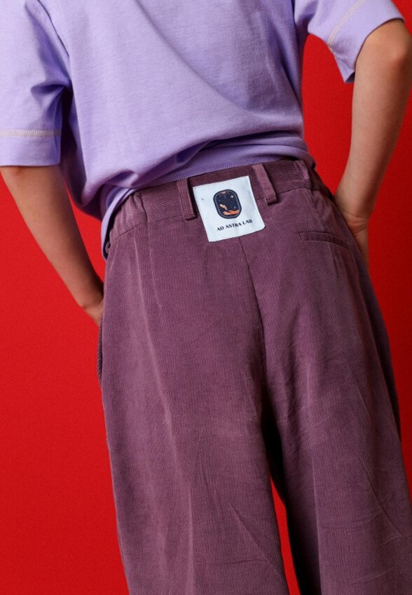 Брюки Ad Astra Lab