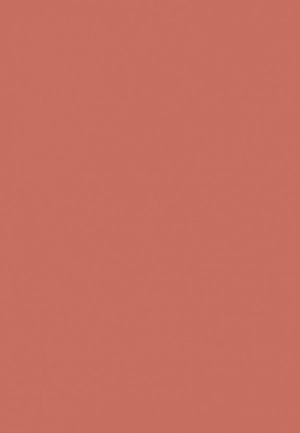 Помада Focallure