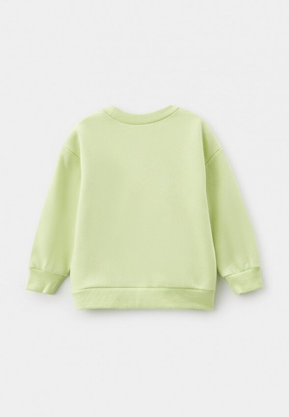 Свитшот Pelican