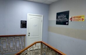 Мутон и Каракуль