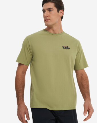Футболка мужская Patagonia Skyline Organic, Зеленый женщинам