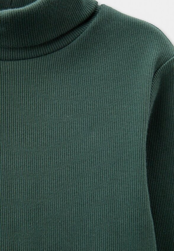 Водолазка Pelican