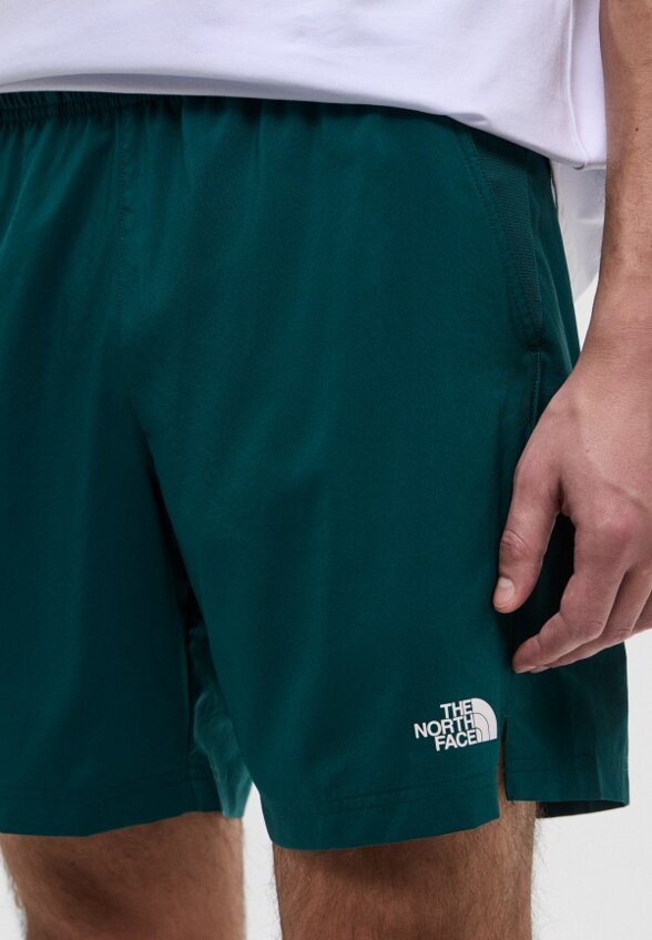 Шорты спортивные The North Face