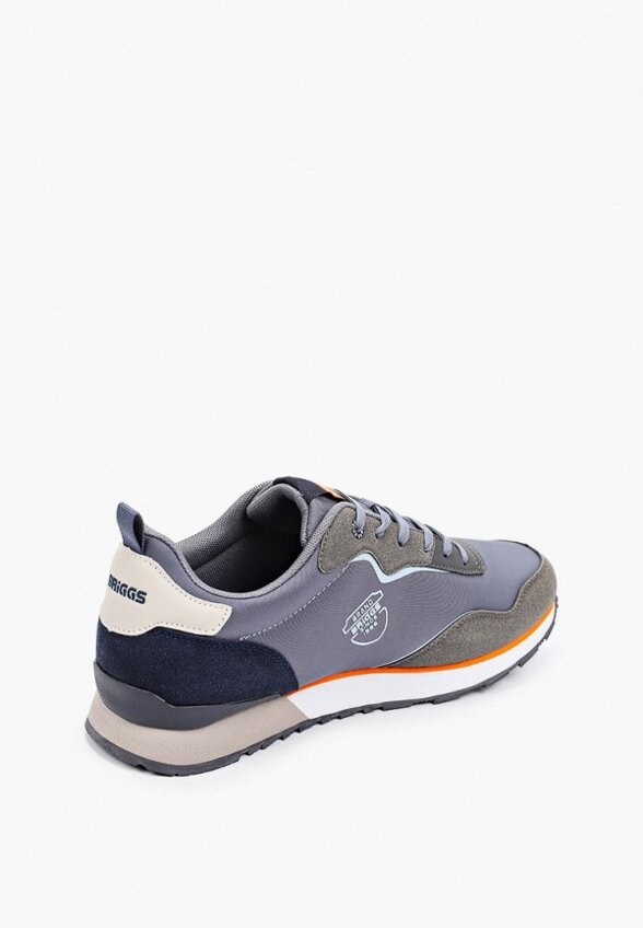 Кроссовки Briggs