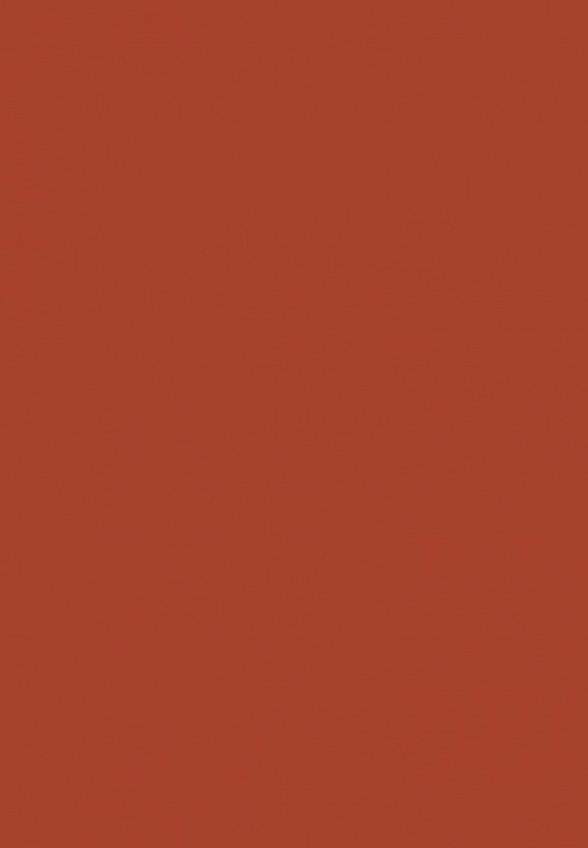 Блеск для губ Organic Kitchen