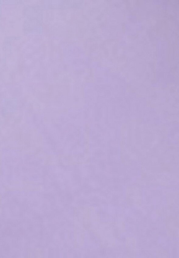 Праймер для лица Zeesea