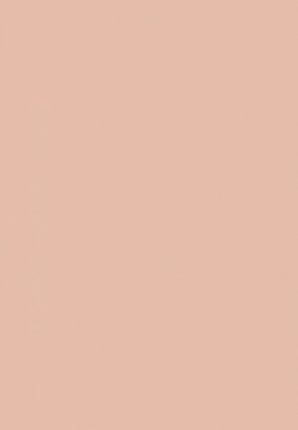 Пудра компактная Deborah