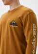 Лонгслив Quiksilver3  - превью