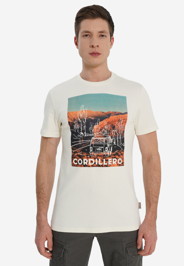 Футболка мужская оверсайз Cordillero, Бежевый