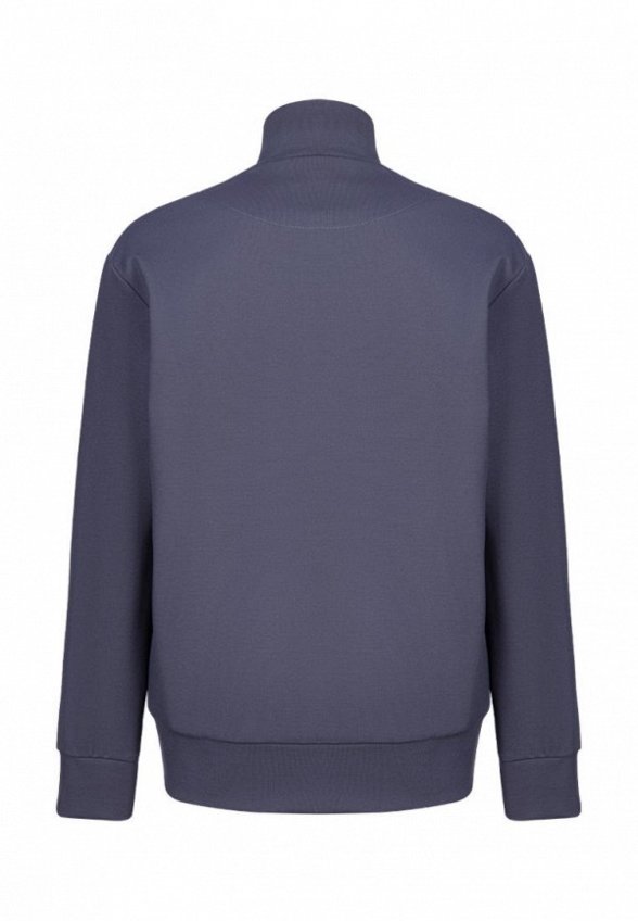 Олимпийка Stylish Amadeo