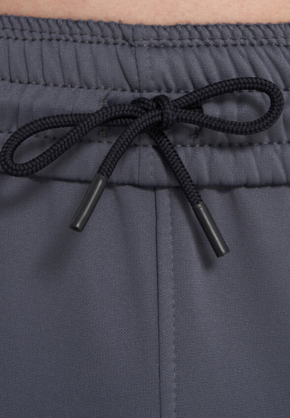 Брюки мужские Under Armour, Серый