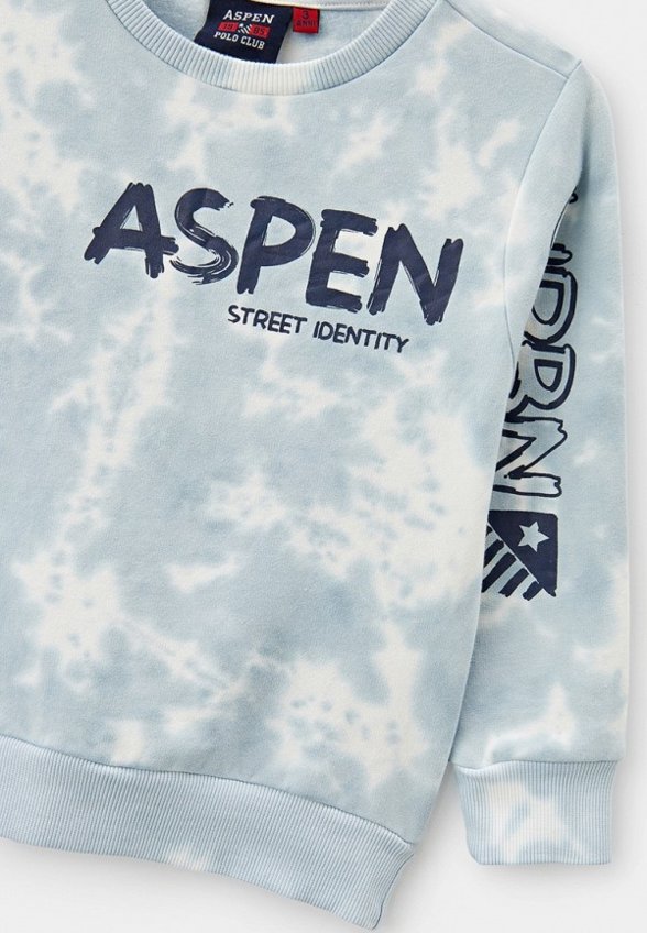 Свитшот Aspen Polo Club