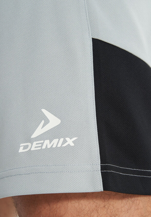 Шорты мужские Demix Playmaker, Серый