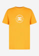 Футболка мужская DC Shoes Essy Dorrington, Желтый8  - превью