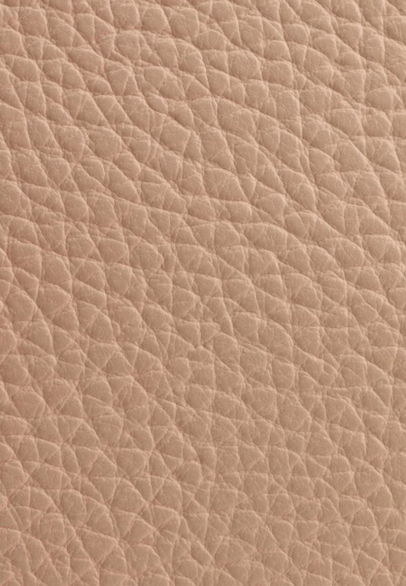 Сумка Sara Burglar