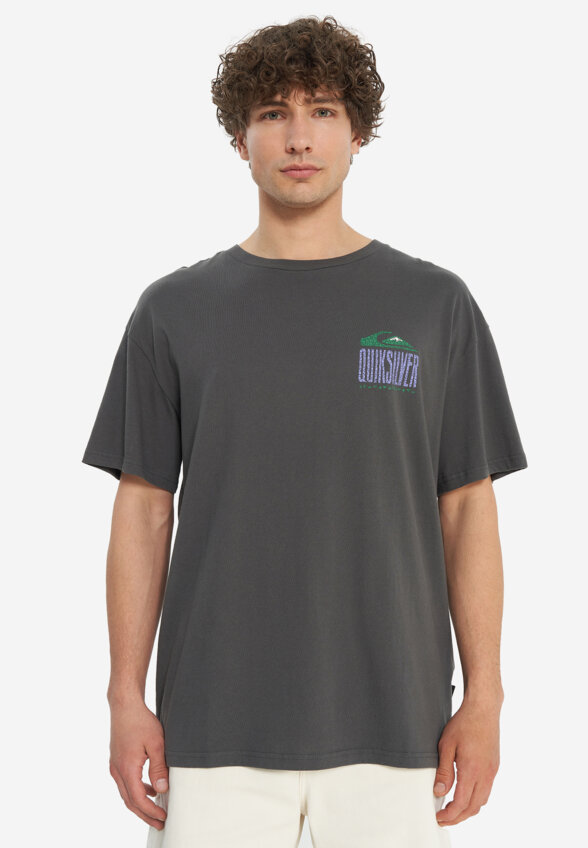 Футболка мужская оверсайз Quiksilver World Force, Серый