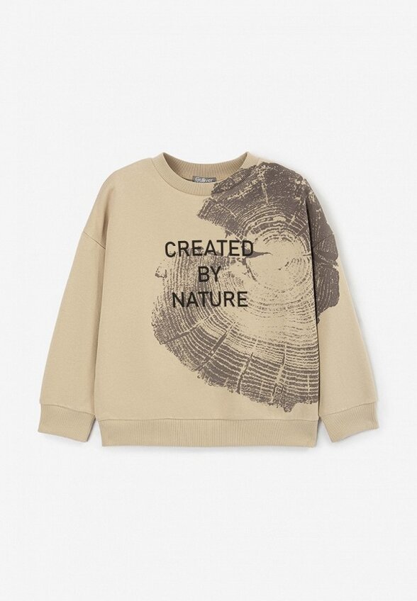 Свитшот Gulliver