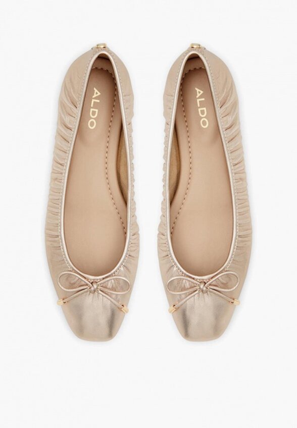 Балетки Aldo