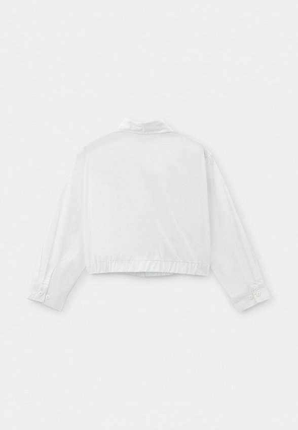 Рубашка Pelican