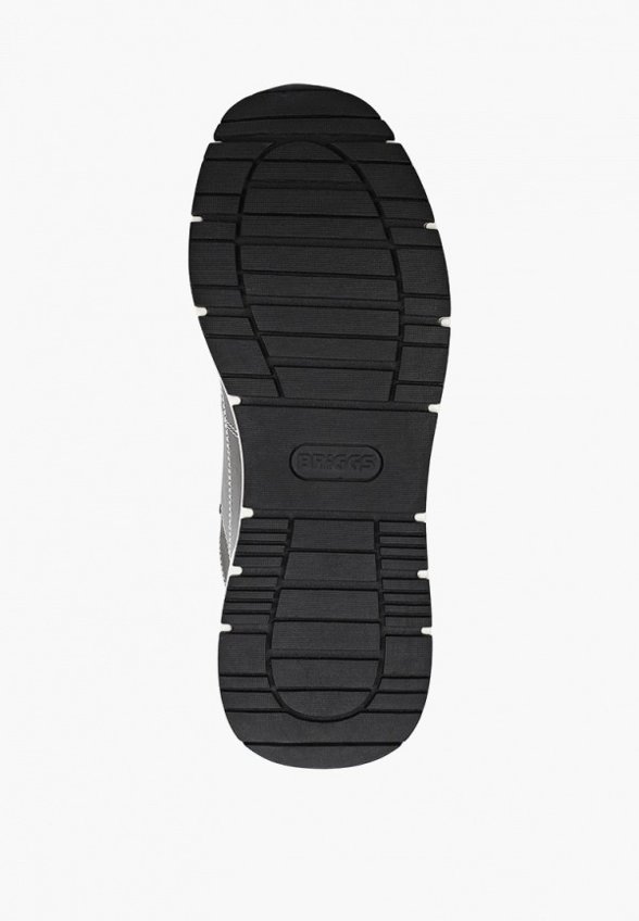 Кроссовки Briggs