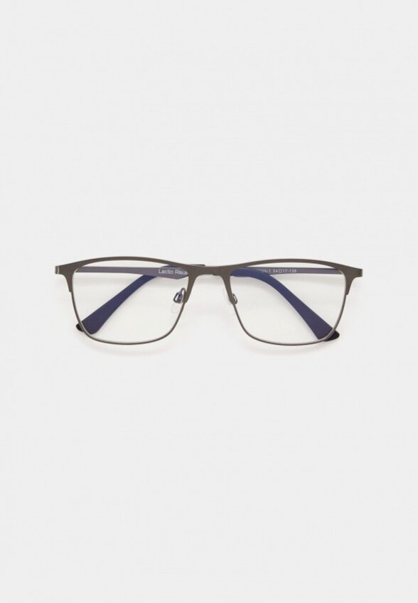 Очки для компьютера Lectio Risus