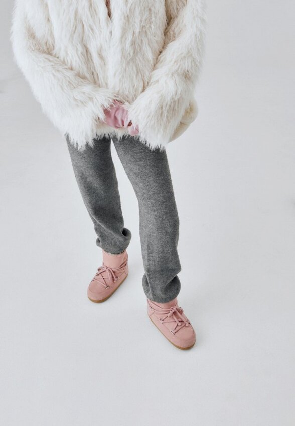 Луноходы Wysh