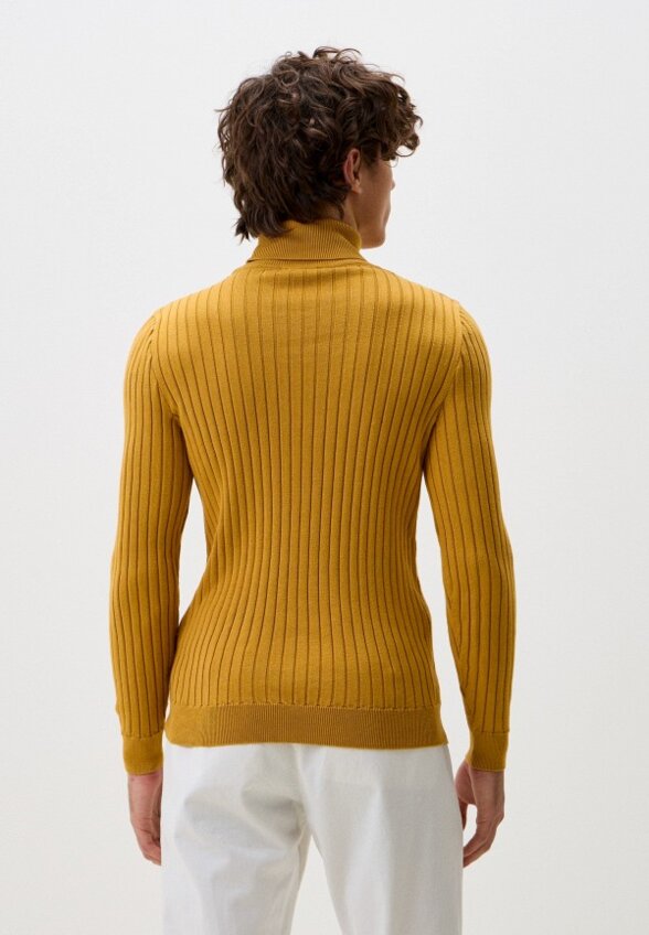 Водолазка Troy Collezione